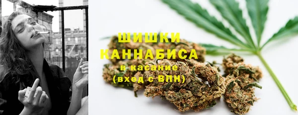 spice Инта