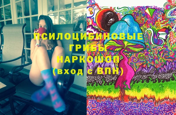 a pvp Дмитровск