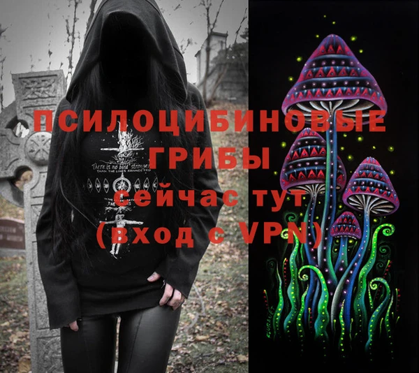 спиды Инсар
