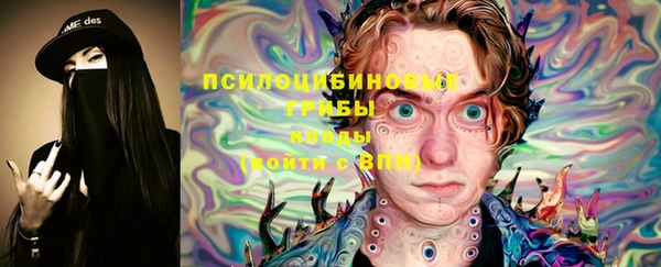 таблы Дмитриев